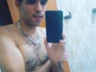 Gato36