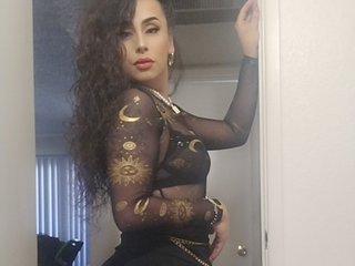 StefBunny