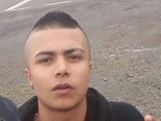 anubistatto