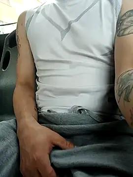 -Darlanwolf