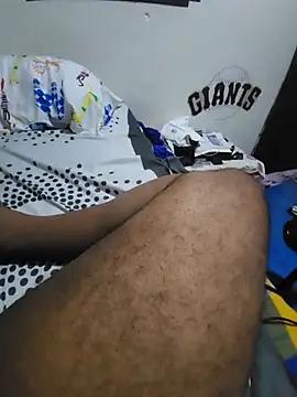 23bad23