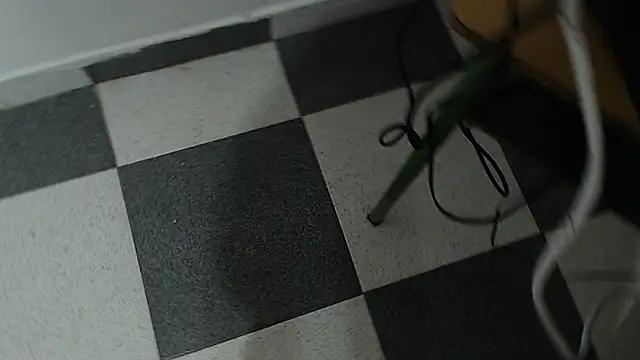 Allisonpetite1