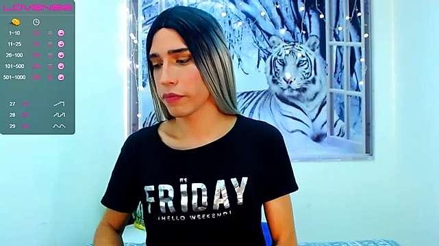 Alonsmax