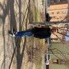 Andranik12345678