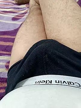 Anteplim272727