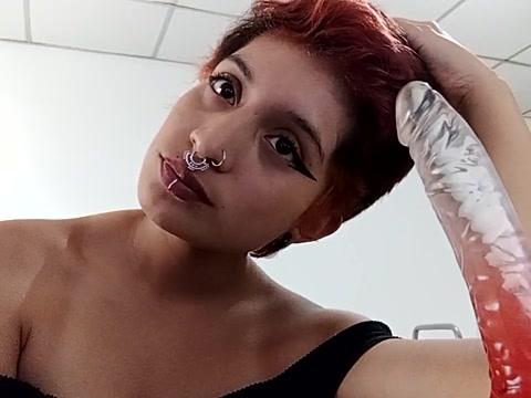 Apolonia777