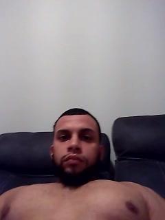Arabianstallion6