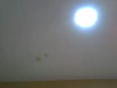 Aurora_starrr