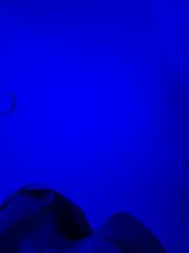 Azure_Reign