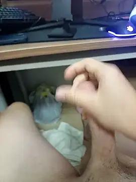 BACIZIPL4T4N