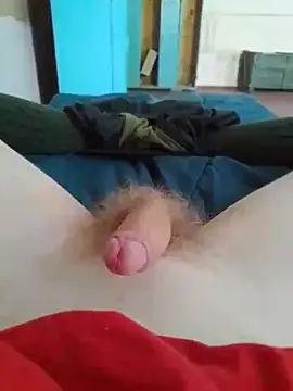 Babi_Kisi