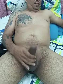 Bartolofive