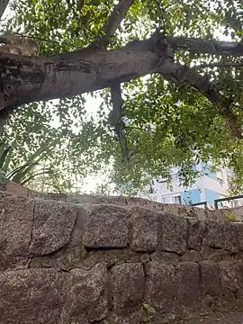BelaaBrazil