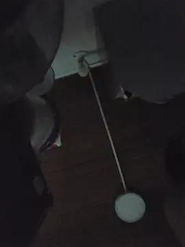 Bella_Karoline