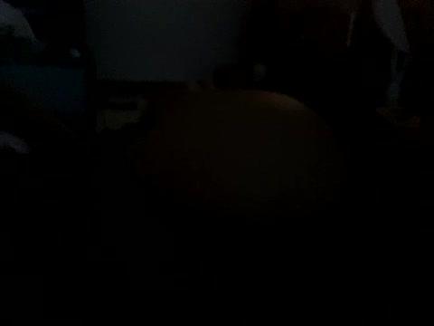 Bellafantasy251