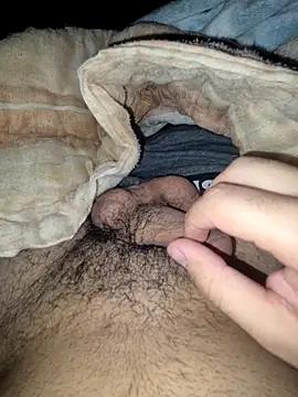 Bigboss2731