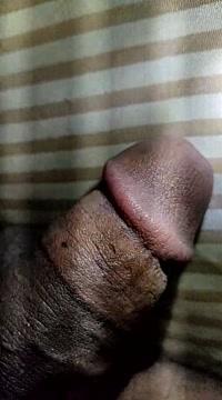 BlackCockBD