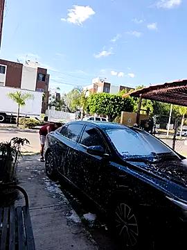 Blackprincipe66