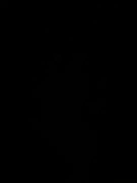 Bulgogibg