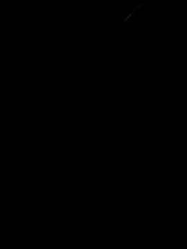 Busracd54