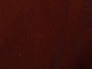CamHornymec