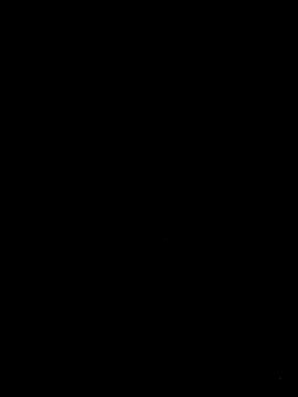 Camel_Wet