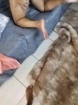 CasalUSA_