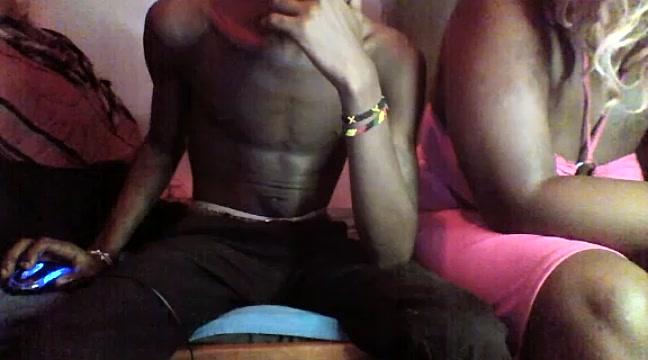 Clark_stallion