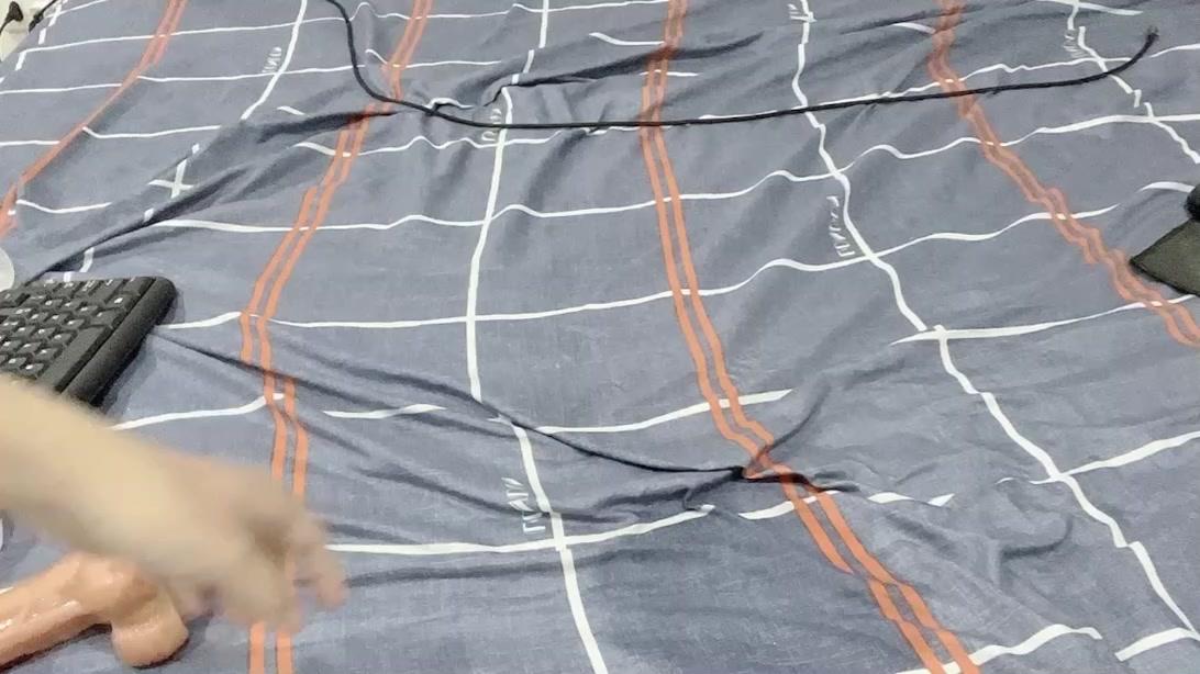 Cogaidalat