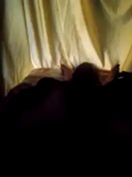 CulogRANde785557