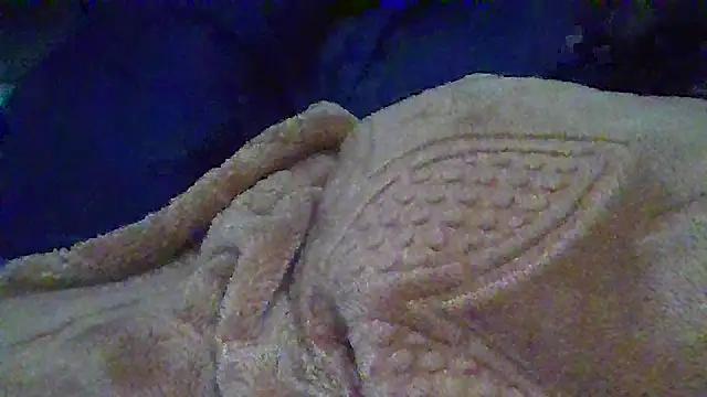 DR-ANIMAL