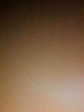 Dell_Lynne