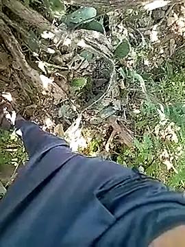Desi_boy_fuck