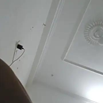 Devilinyou1