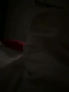 Devilthebull