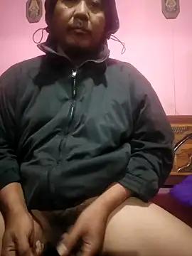 Dodoldolly