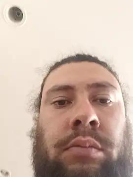 Domvincibear