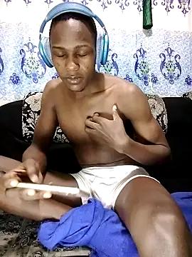 Ebony-starcock