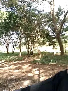 El_subrosa254