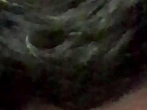 Giazuna1