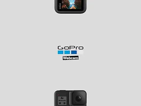 Gigolo_PnP