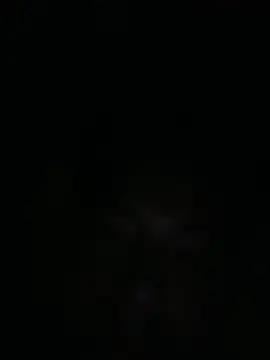 Gmoran_dik