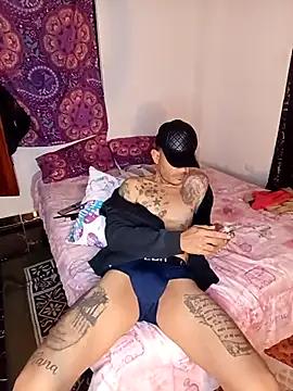 Halconvip