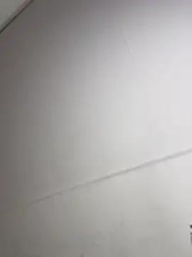 Hayami_Li