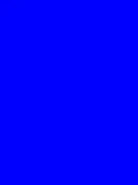 Hody_21