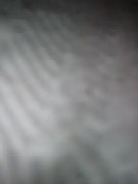 Joosee1696