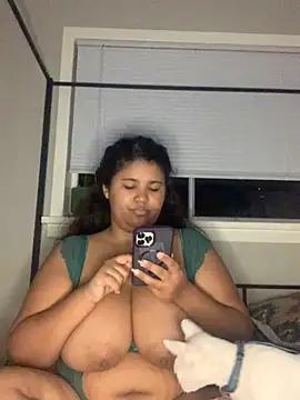 KittyCow