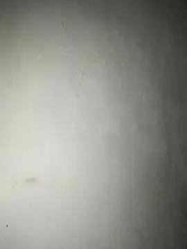 Latinodotado_20cm