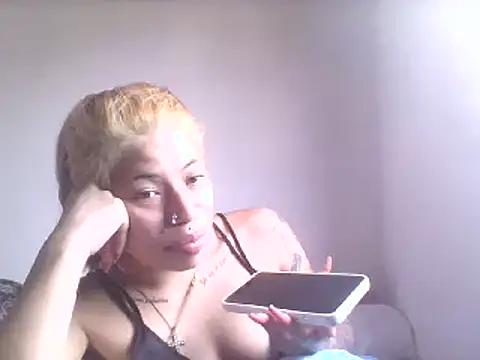LayCamcam