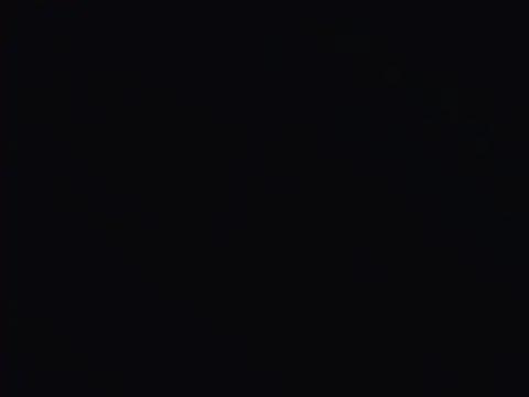 Lily_969